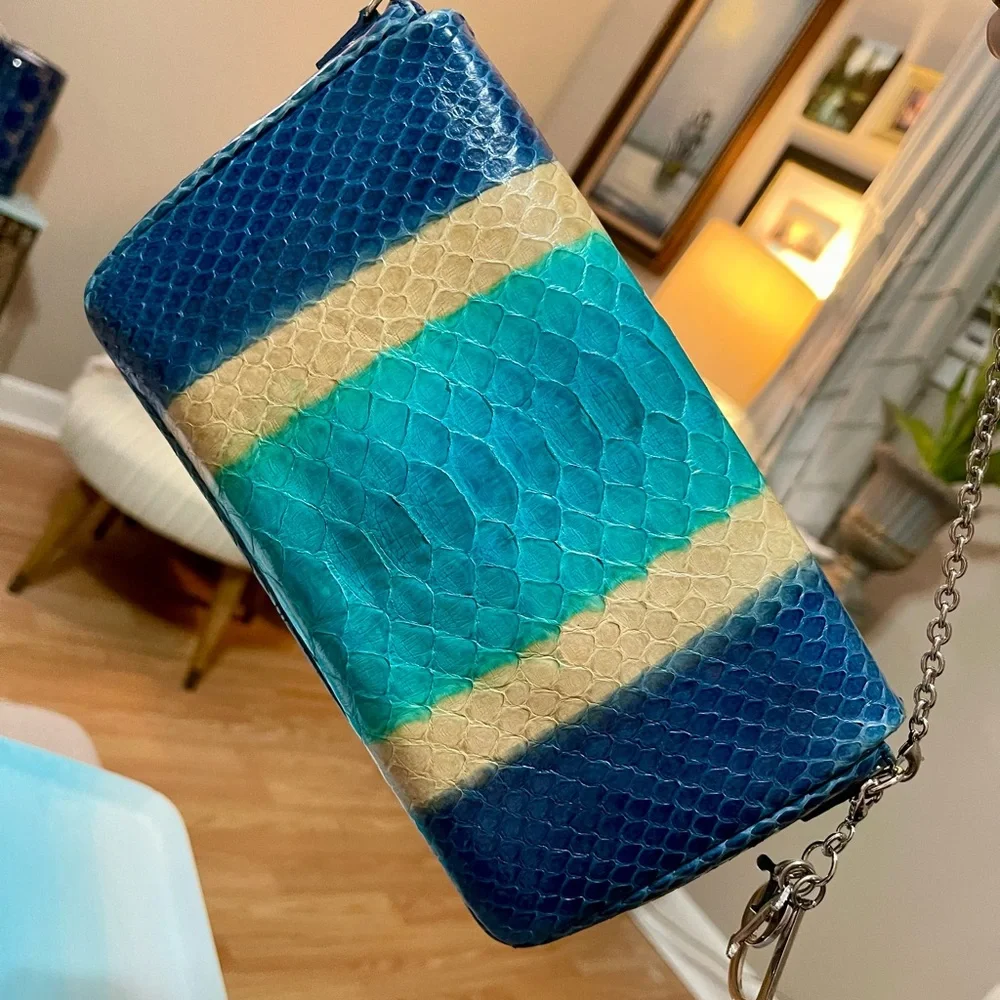 Dior Blue Python & Leather WOC Bag - Picture 3 of 16